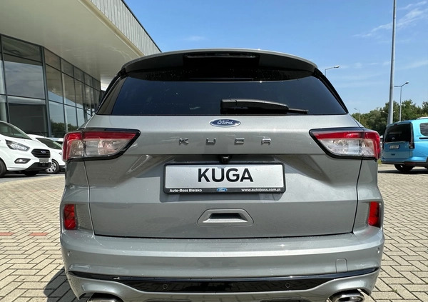 Ford Kuga cena 129900 przebieg: 1, rok produkcji 2022 z Braniewo małe 79